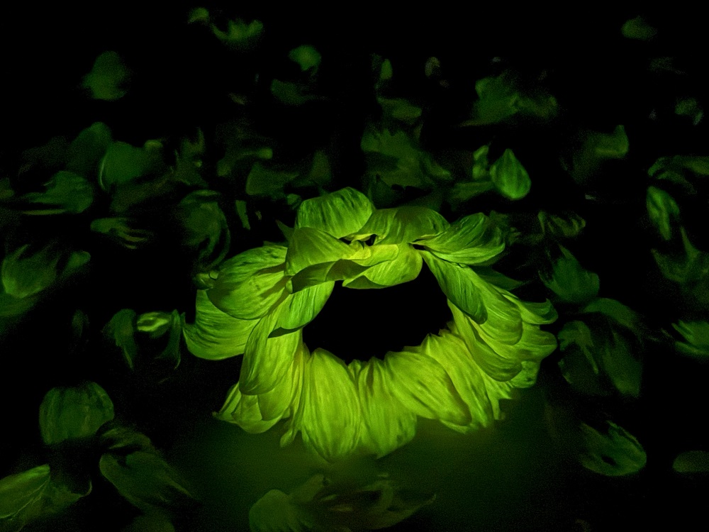 暗光照片 (98).jpg