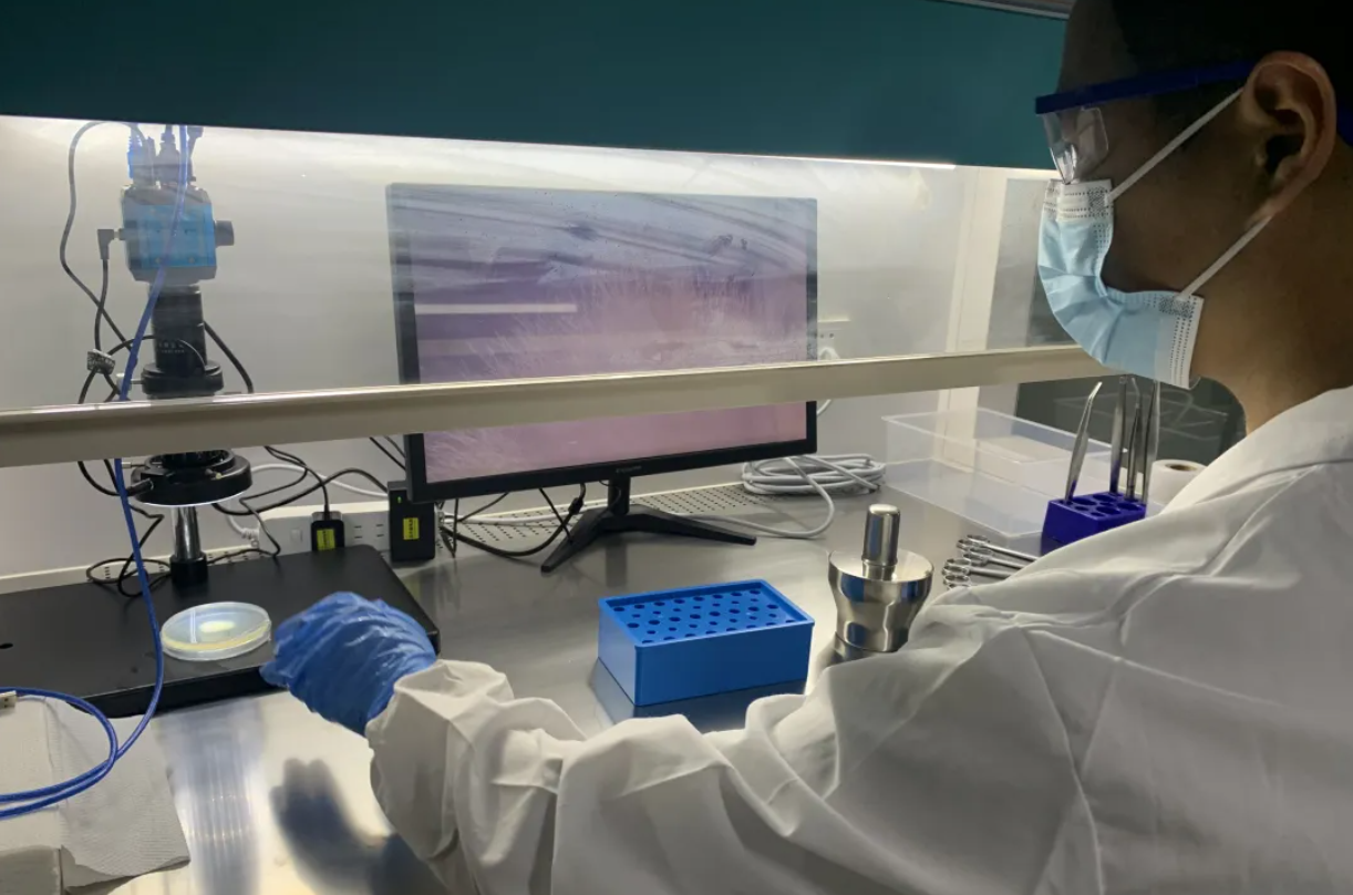 神笔生物基因克隆平台全面打通