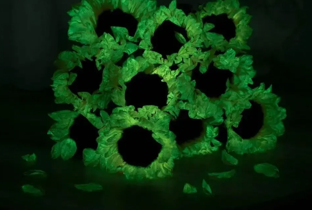 AI+合成生物！合肥造发光植物，一周卖了一万株！