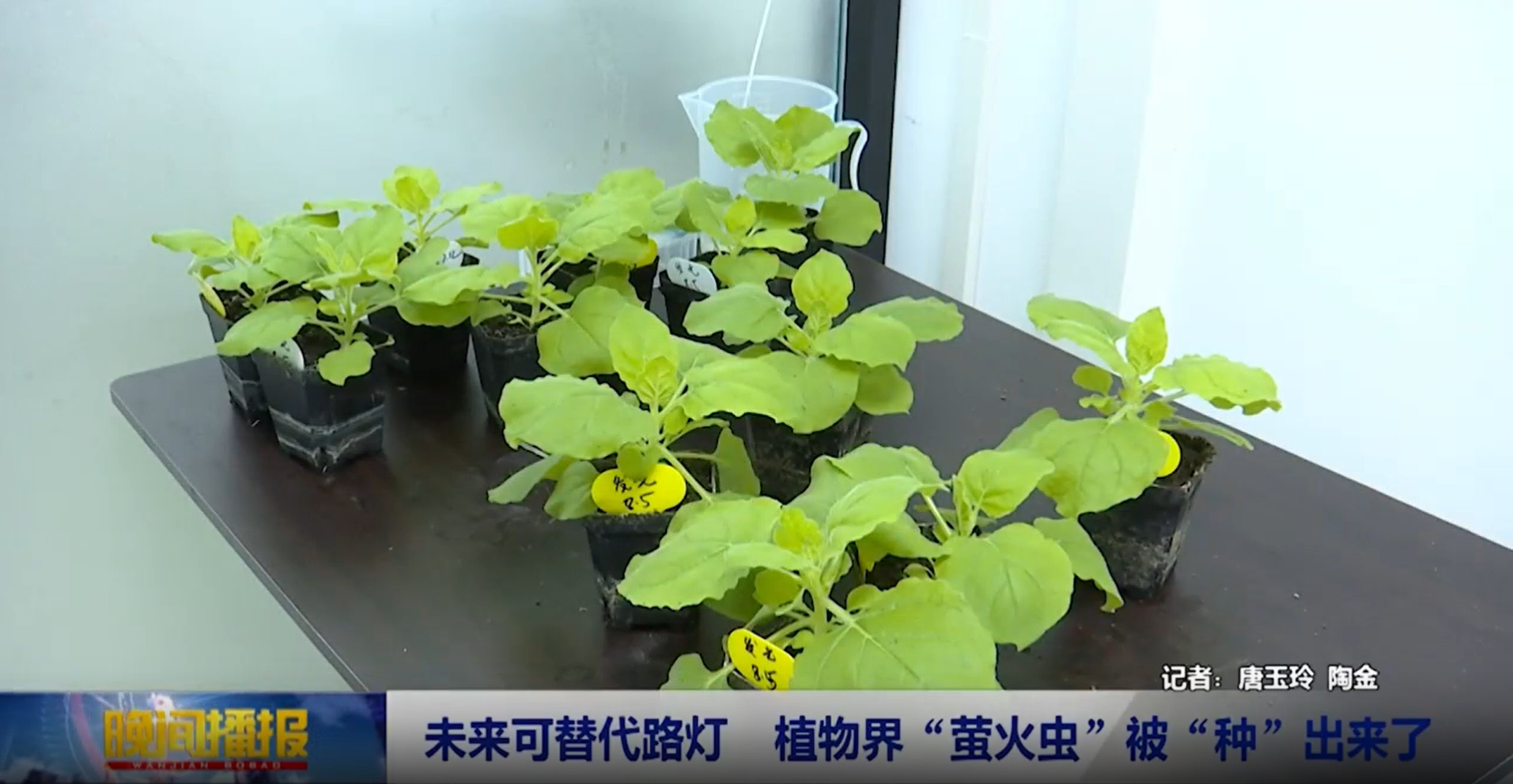 神笔生物获多家权威媒体采访报道