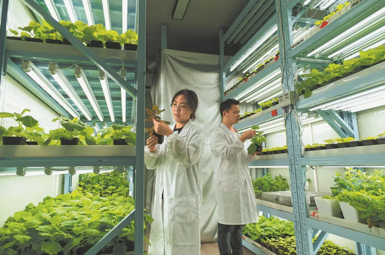 国内首株！合肥造！