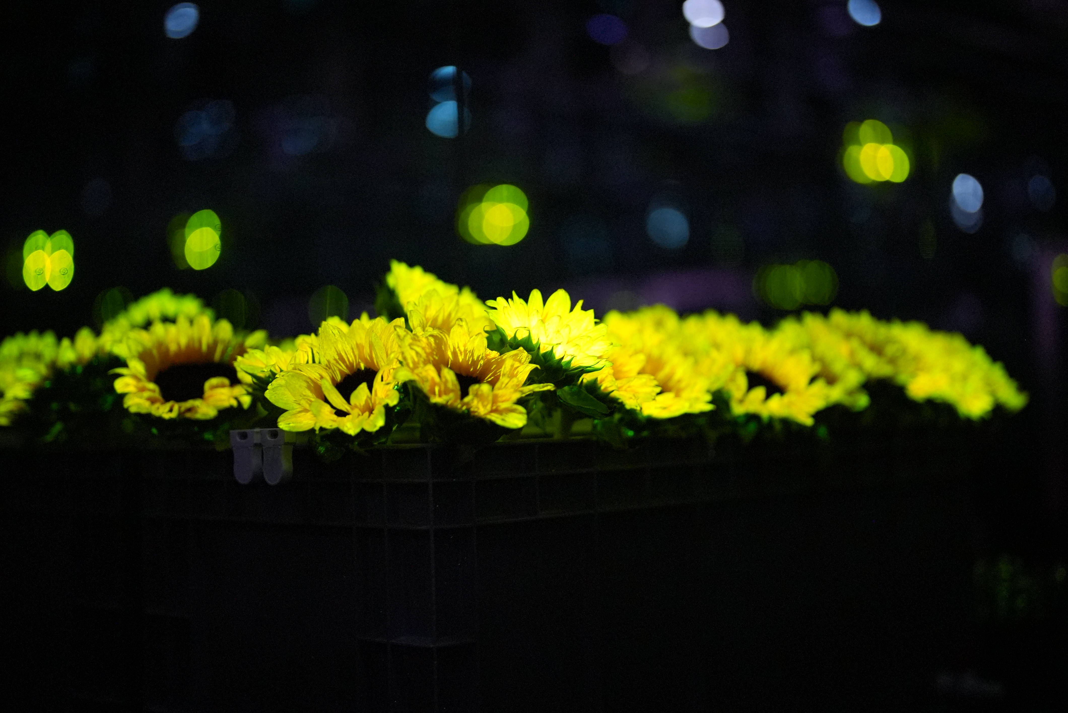神笔生物以一朵花点亮11亿网民！