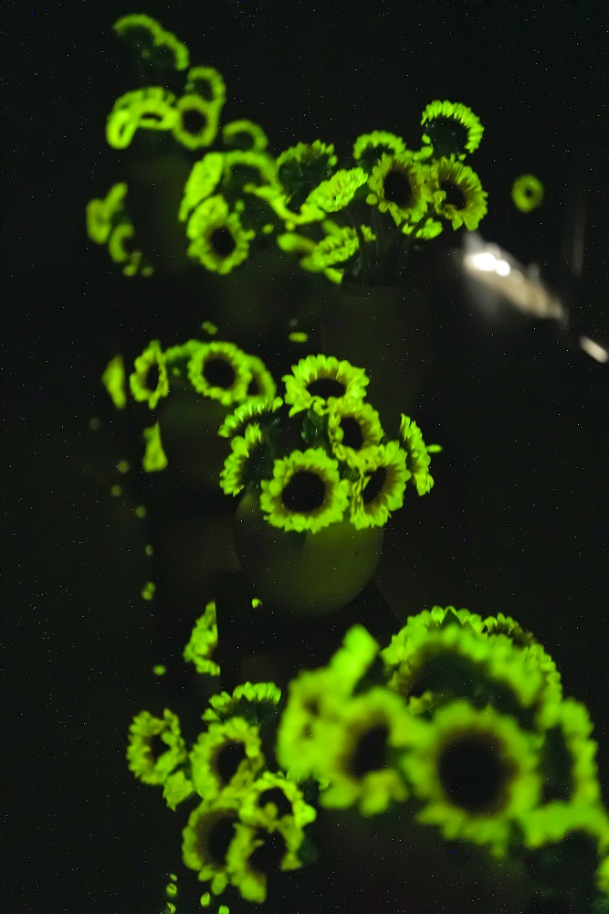 暗光照片 (58).jpg