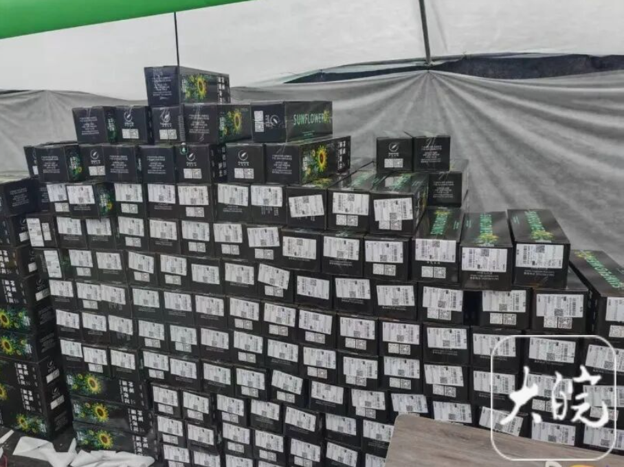 惊叹！合肥种出“发光植物”，你想来一株吗？